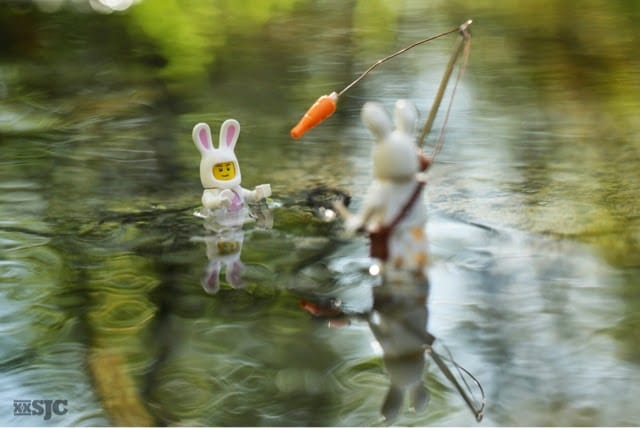 Mother bunny from The Runaway Bunny is fishing for her wayward son who has decided to be a fish instead of a bunny. 