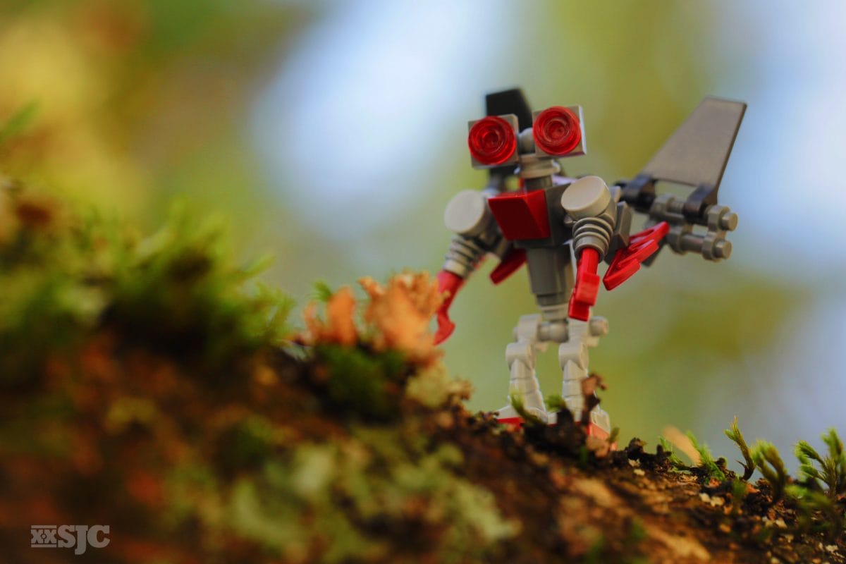 Exploring (robot courtesy of Gordon)