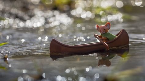 Lieam in canoe