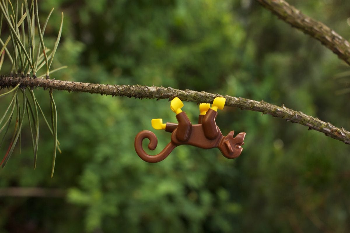 Monkeying Around High Res
