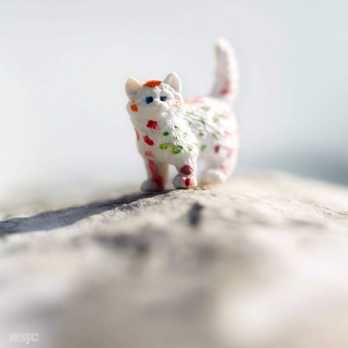 Riley's Cat