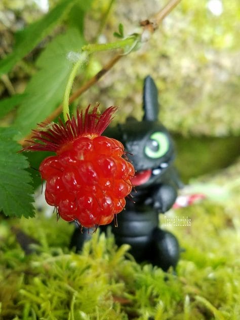 berry