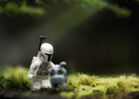 Boba-Fett-Cat-Legogrphy-xxsjc