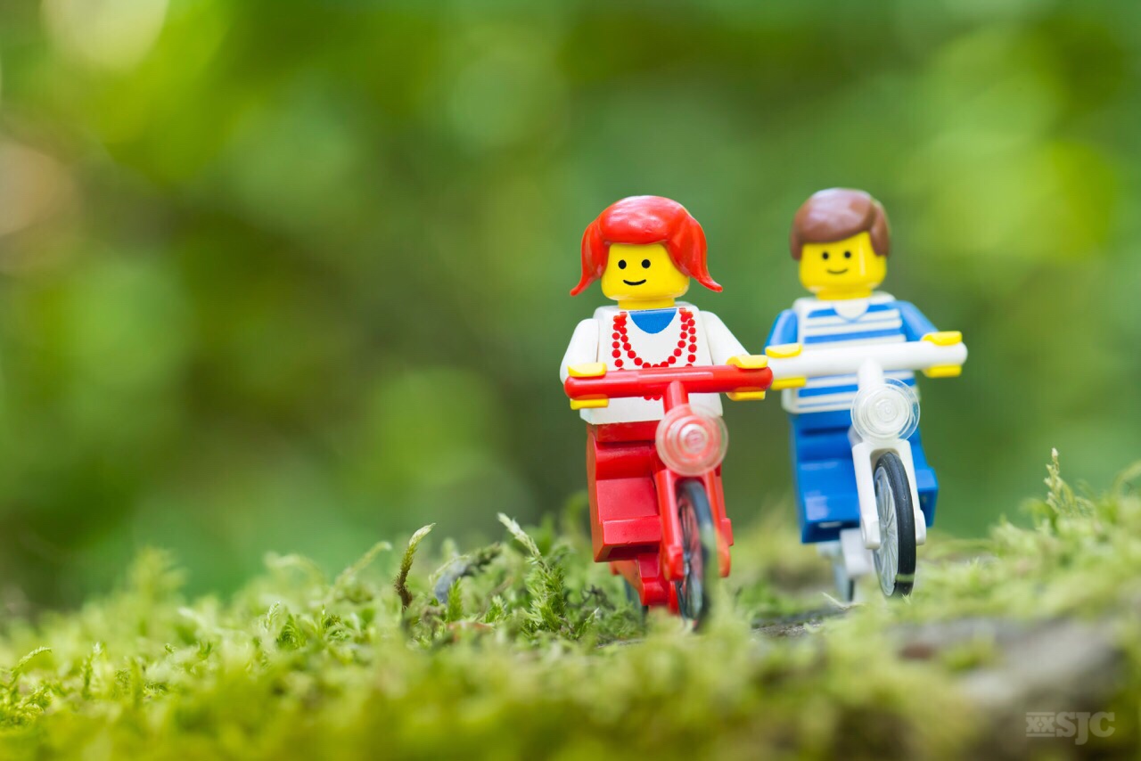 The Basics Depth of Field Stuck In Plastic