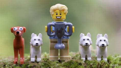 Legography-dog-trainer-toys-xxsjc