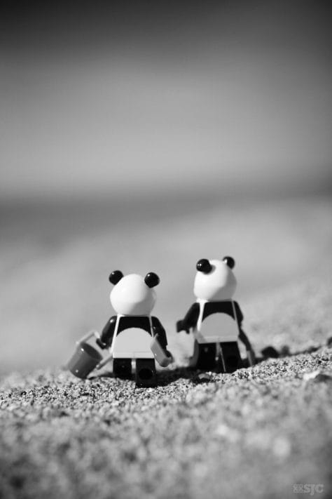 Panda-beach-legography-xxsjc