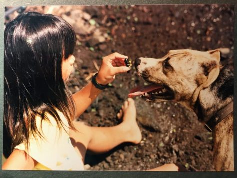 Classic Knight vs. Pit Bull, 1988? Photo by Andres Gaoiran Jr. (my father)
