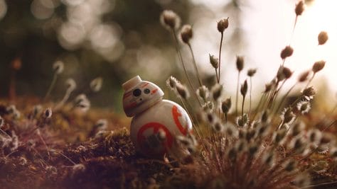 Peek-A-BB-Boo