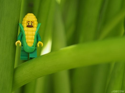 Did I mention I love green?