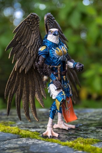 The bird - Photo credit: Julien
