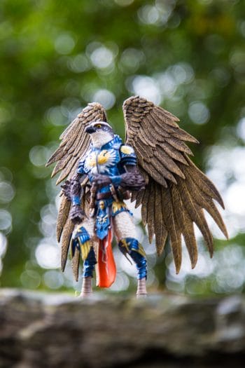 It's a bird - Photo credit: Chris