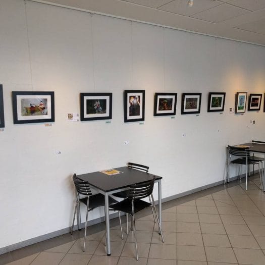 Our little picture exhibition