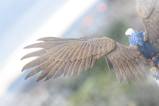 I believe I can fly - Photo credit: Lizzi