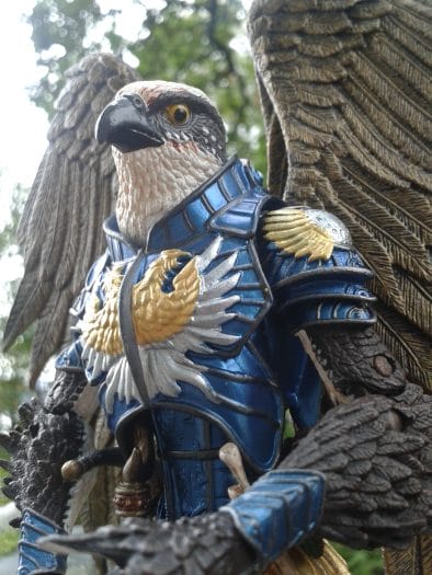 What? No bird seed you say - Photo credit: Ian