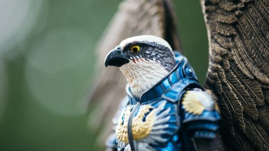 Bird eye view - Photo credit: Boris
