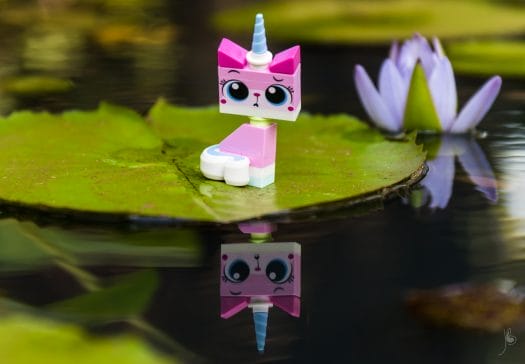 Reflection